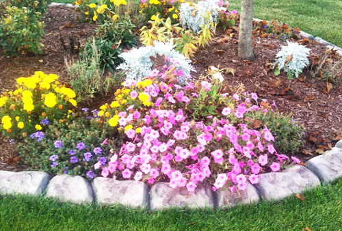 stone borders with flowers