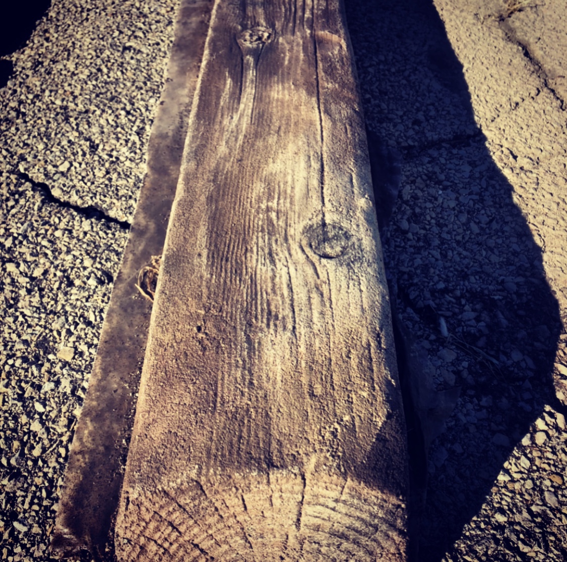 wood form